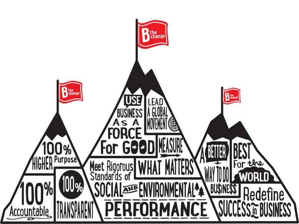 Becoming a B-Corp