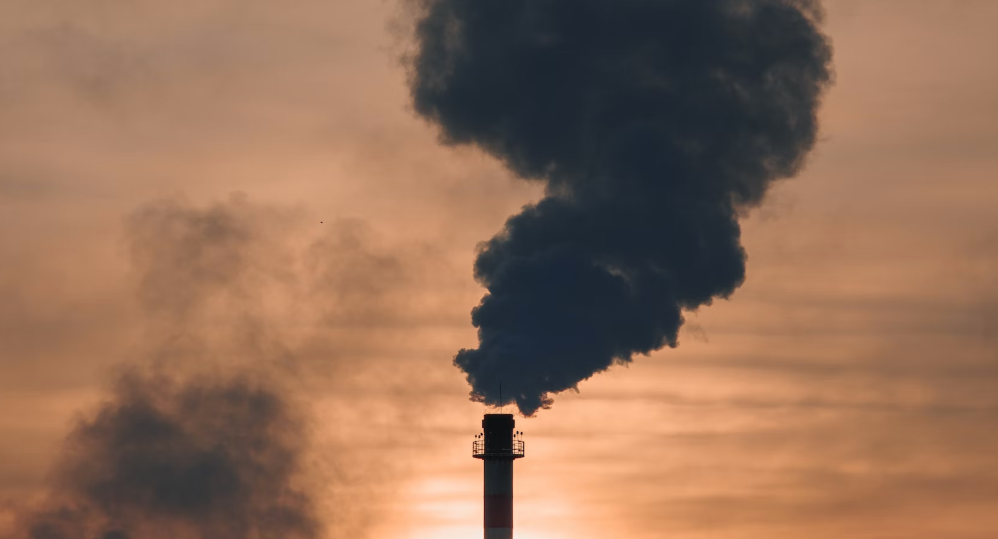 Ridurre le emissioni aziendali con strategie di decarbonizzazione