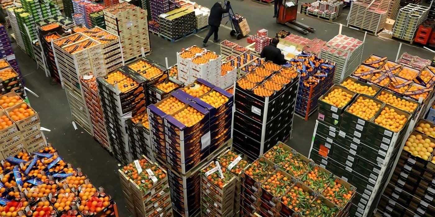 L’efficienza energetica al centro della trasformazione industriale nel settore agroalimentare