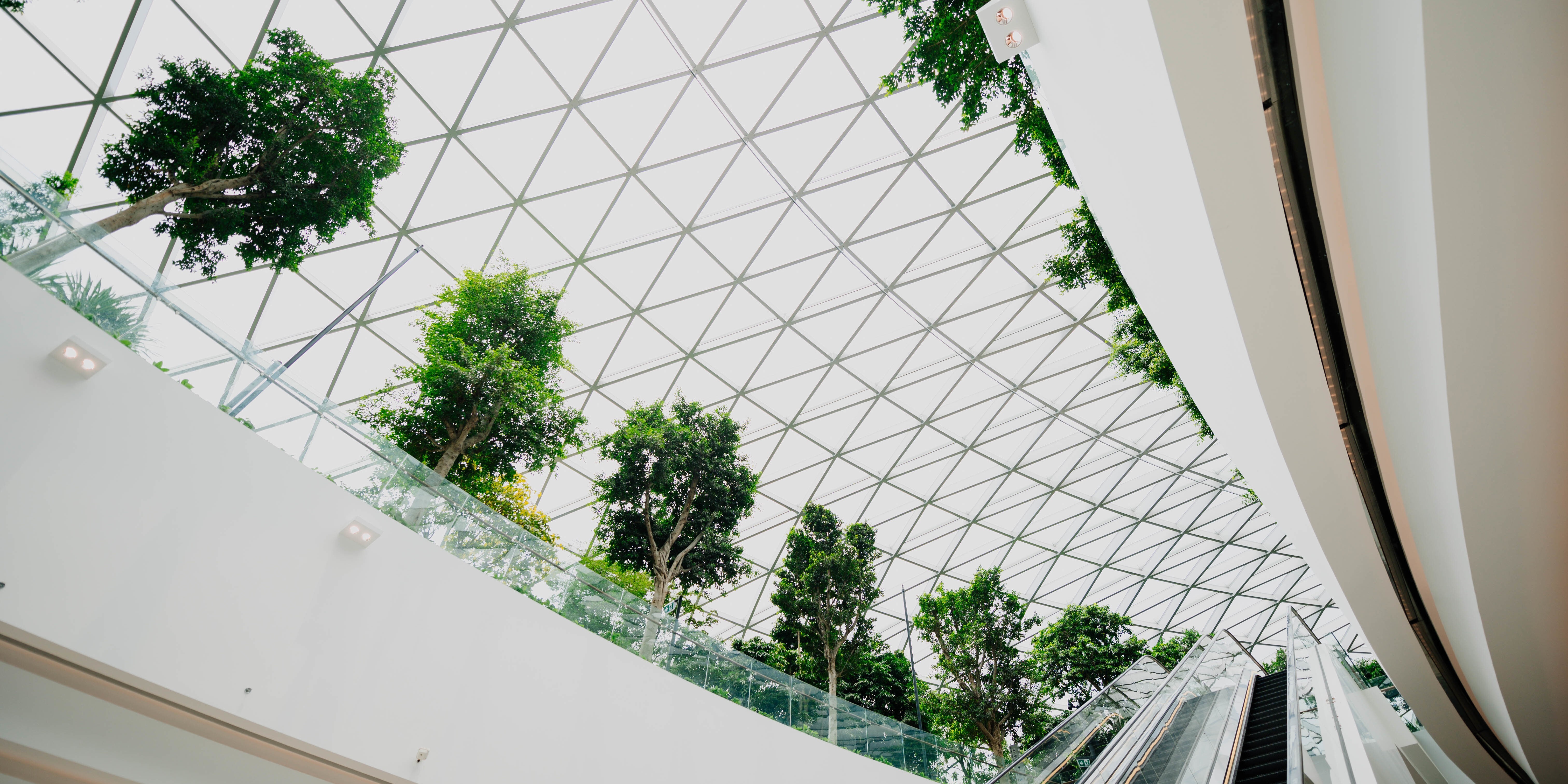 Efficienza industriale: come individuare e ridurre gli sprechi energetici